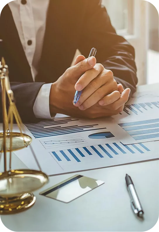 Auditores de cuentas